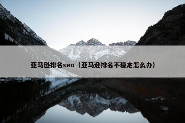 亚马逊排名seo（亚马逊排名不稳定怎么办）