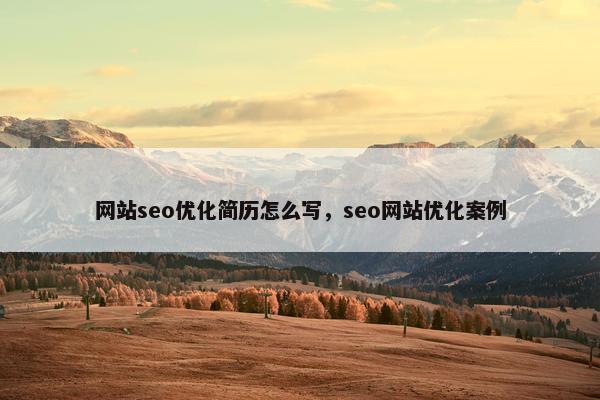 网站seo优化简历怎么写，seo网站优化案例