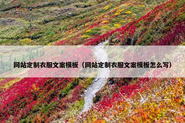 网站定制衣服文案模板（网站定制衣服文案模板怎么写）