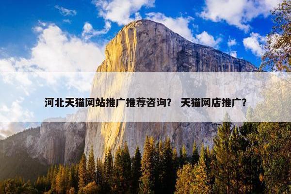 河北天猫网站推广推荐咨询？ 天猫网店推广？