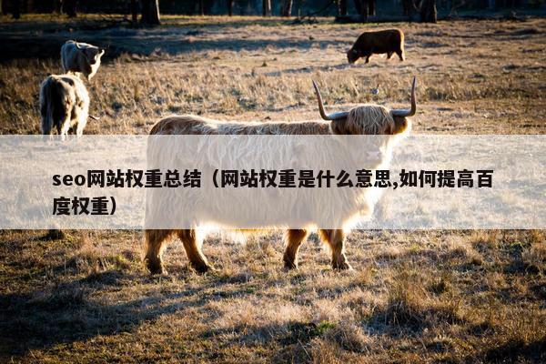 seo网站权重总结（网站权重是什么意思,如何提高百度权重）