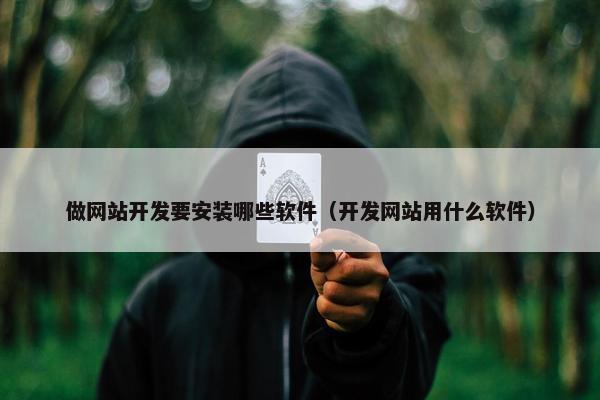 做网站开发要安装哪些软件（开发网站用什么软件）