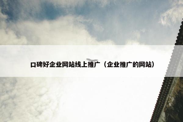 口碑好企业网站线上推广（企业推广的网站）