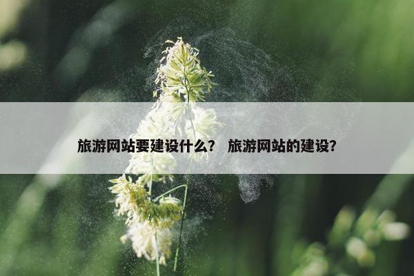 旅游网站要建设什么？ 旅游网站的建设？