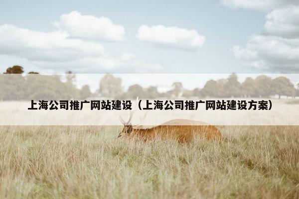 上海公司推广网站建设（上海公司推广网站建设方案）