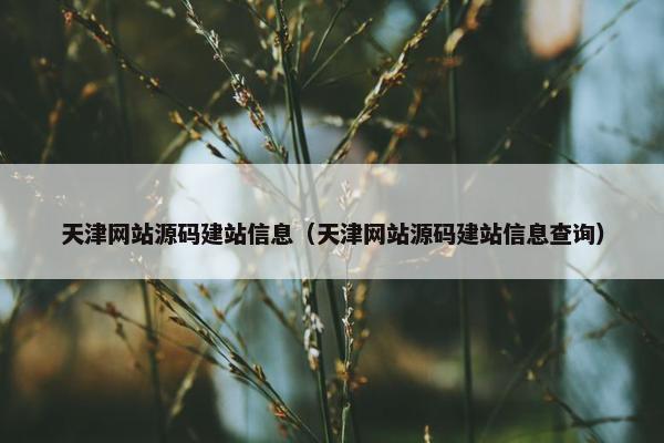 天津网站源码建站信息（天津网站源码建站信息查询）