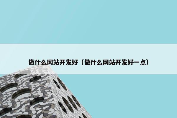 做什么网站开发好（做什么网站开发好一点）