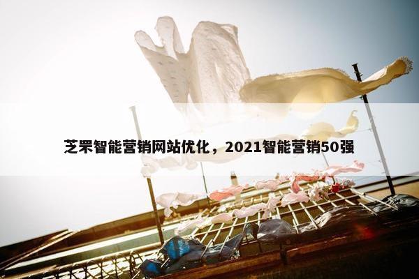 芝罘智能营销网站优化，2021智能营销50强