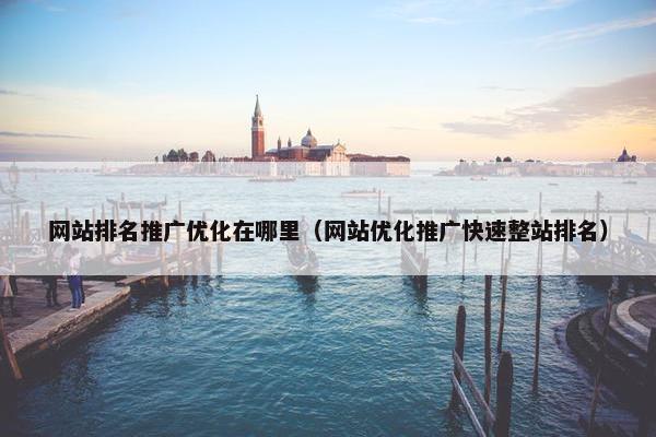 网站排名推广优化在哪里（网站优化推广快速整站排名）