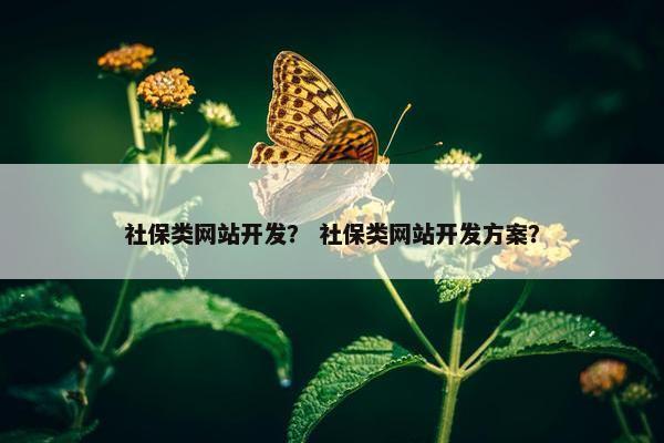 社保类网站开发？ 社保类网站开发方案？