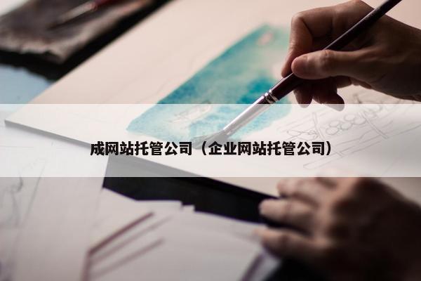 成网站托管公司（企业网站托管公司）