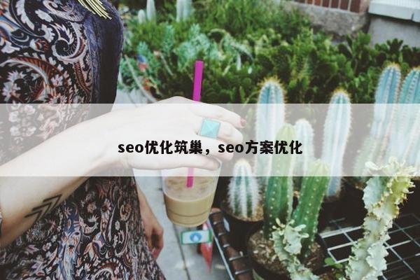 seo优化筑巢，seo方案优化