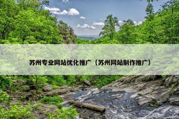 苏州专业网站优化推广（苏州网站制作推广）