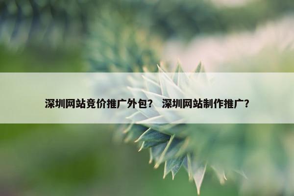 深圳网站竞价推广外包？ 深圳网站制作推广？