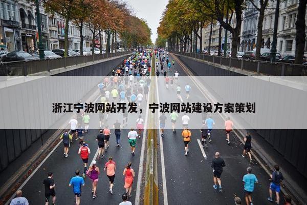 浙江宁波网站开发，宁波网站建设方案策划
