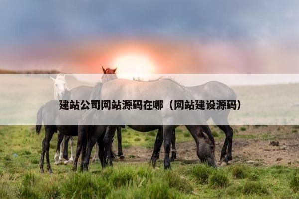 建站公司网站源码在哪（网站建设源码）