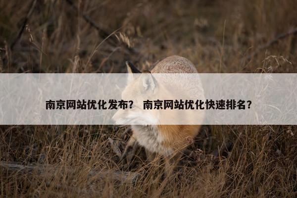 南京网站优化发布？ 南京网站优化快速排名？