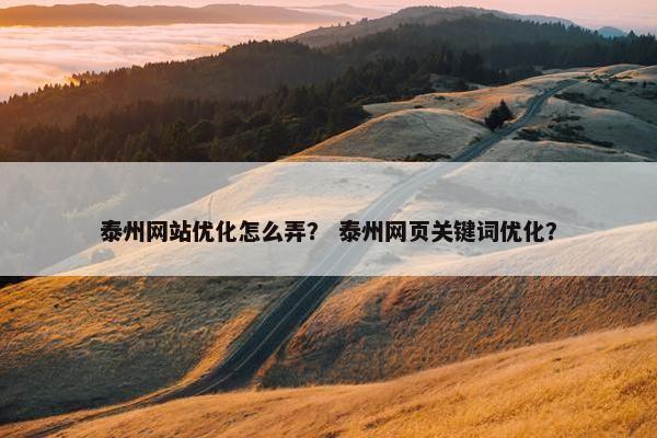 泰州网站优化怎么弄？ 泰州网页关键词优化？