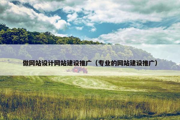做网站设计网站建设推广（专业的网站建设推广）