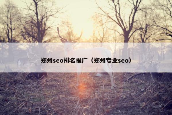 郑州seo排名推广（郑州专业seo）