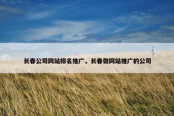 长春公司网站排名推广，长春做网站推广的公司