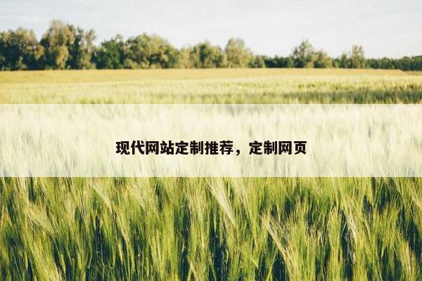 现代网站定制推荐，定制网页