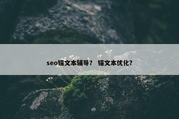 seo锚文本辅导？ 锚文本优化？