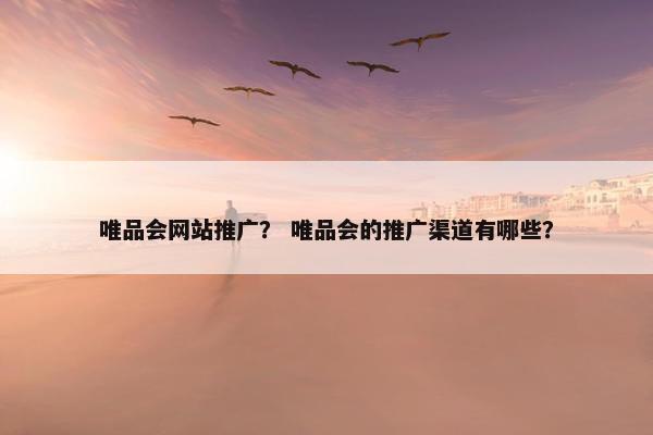 唯品会网站推广？ 唯品会的推广渠道有哪些？