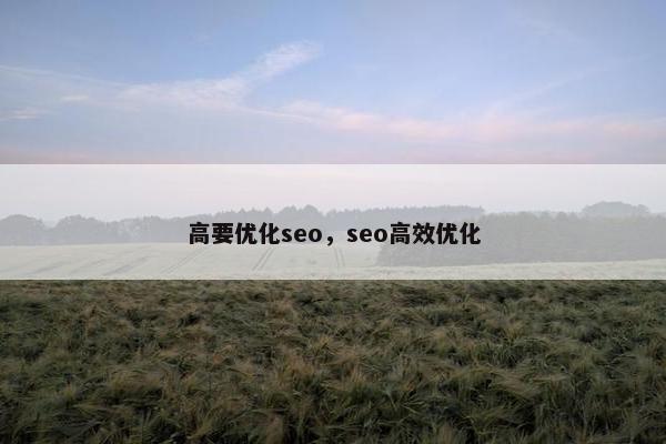 高要优化seo，seo高效优化
