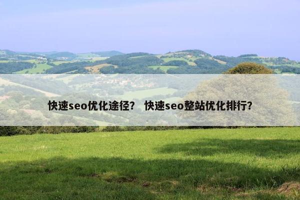 快速seo优化途径？ 快速seo整站优化排行？