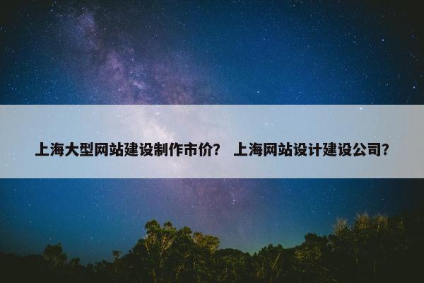 上海大型网站建设制作市价？ 上海网站设计建设公司？