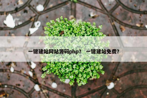 一键建站网站源码php？ 一键建站免费？