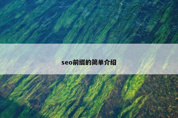 seo前缀的简单介绍