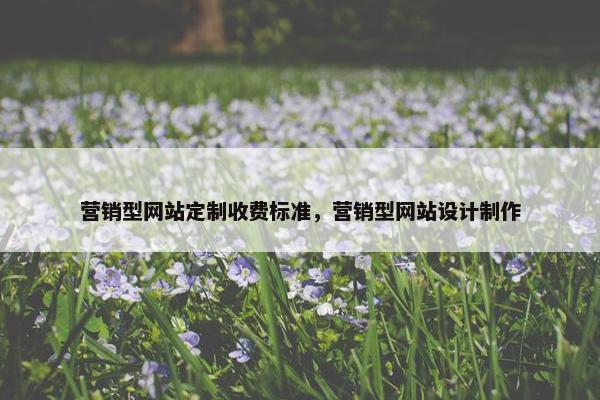 营销型网站定制收费标准，营销型网站设计制作