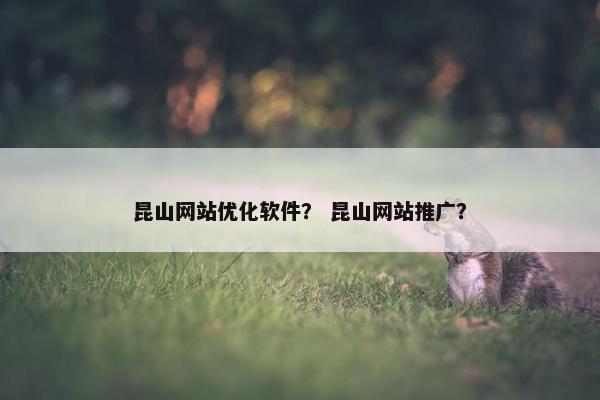 昆山网站优化软件？ 昆山网站推广？