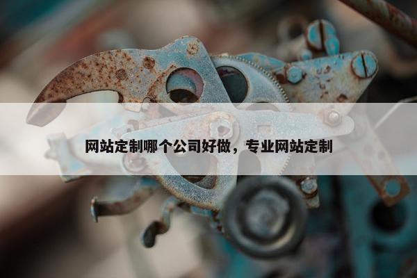 网站定制哪个公司好做，专业网站定制