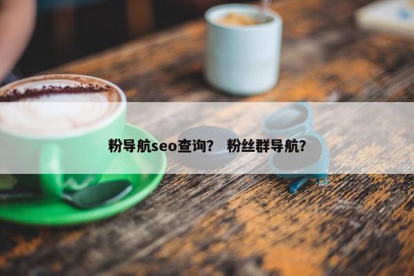粉导航seo查询？ 粉丝群导航？
