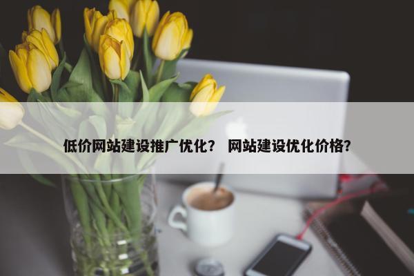 低价网站建设推广优化？ 网站建设优化价格？