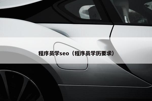 程序员学seo（程序员学历要求）