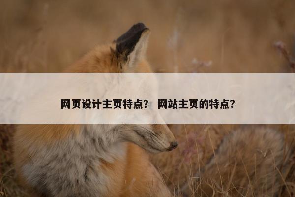 网页设计主页特点？ 网站主页的特点？