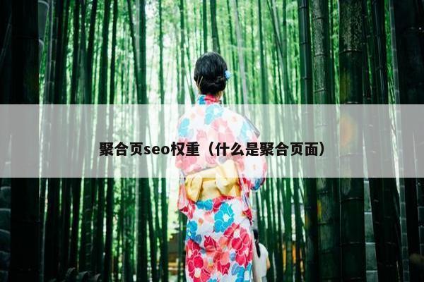 聚合页seo权重（什么是聚合页面）
