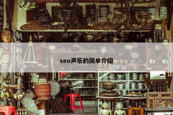seo声乐的简单介绍