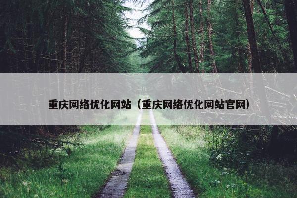 重庆网络优化网站（重庆网络优化网站官网）