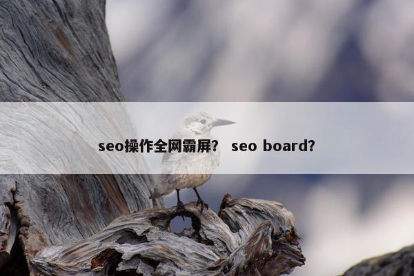 seo操作全网霸屏？ seo board？