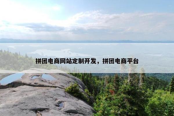 拼团电商网站定制开发，拼团电商平台