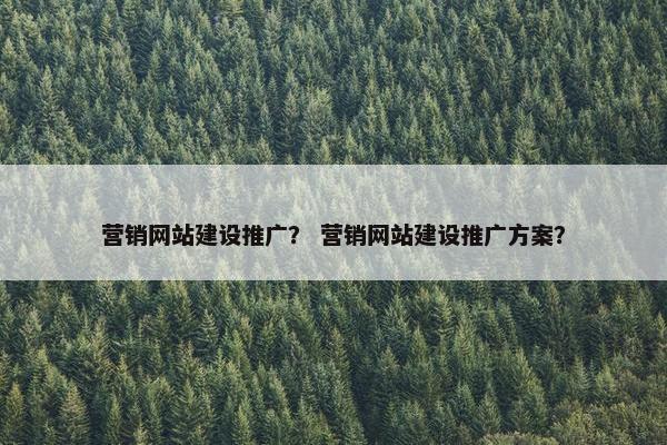 营销网站建设推广？ 营销网站建设推广方案？