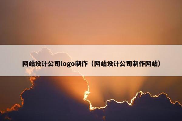 网站设计公司logo制作（网站设计公司制作网站）