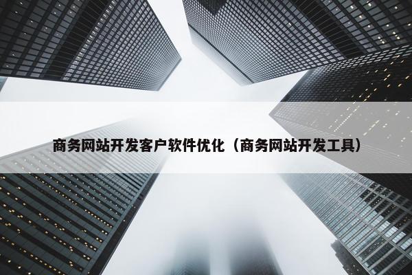 商务网站开发客户软件优化（商务网站开发工具）