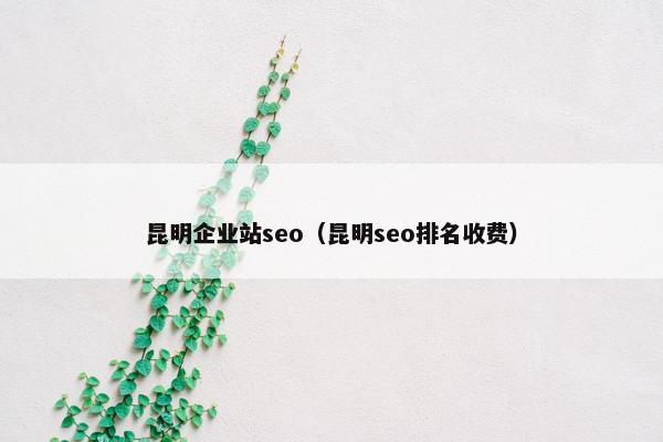 昆明企业站seo（昆明seo排名收费）