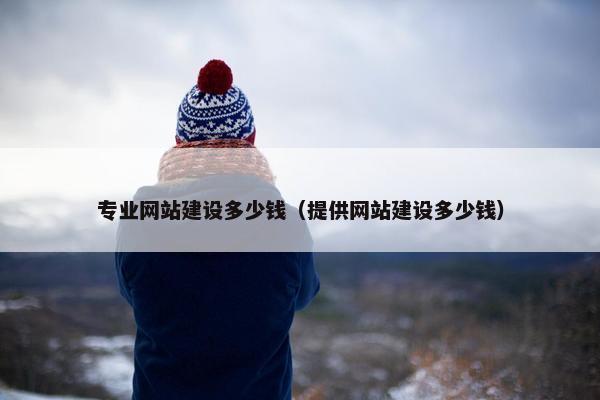 专业网站建设多少钱（提供网站建设多少钱）